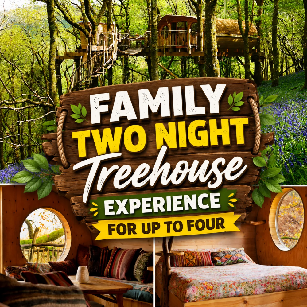 Family Two Night Treehouse Experience For Up to Four