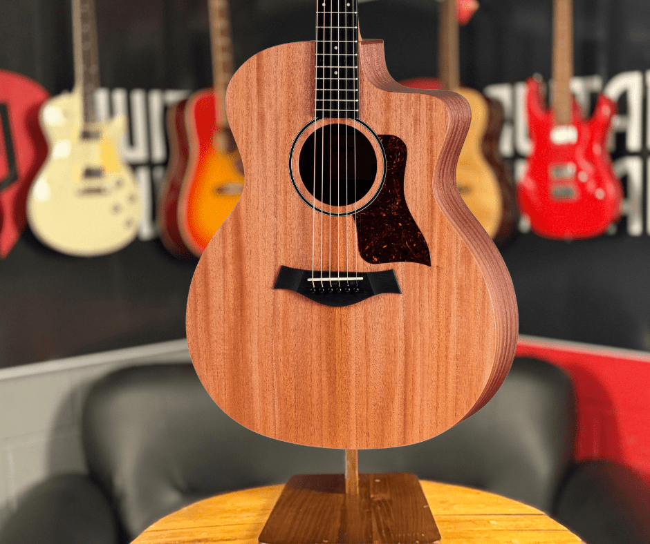 NEW TAYLOR ACOUSTIC 24ce #12