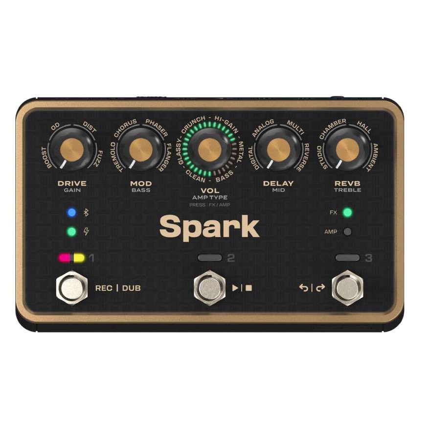 Positive Grid Spark Pedal #3