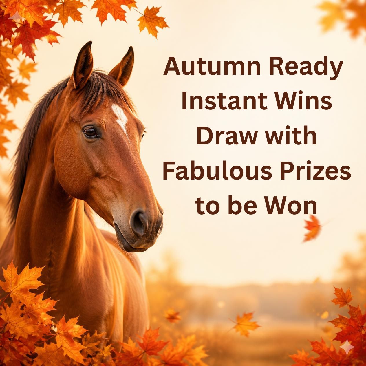 Autumn Ready Instant Wins Draw with Fabulous Prizes to be Won