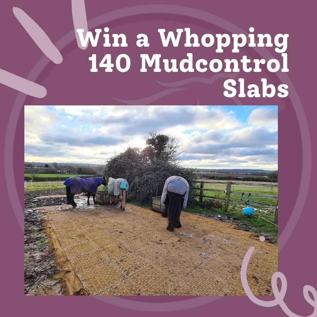 It's Back – Win a Huge Delivery of Mudcontrol Slabs – 140 Slabs, 35sqm Worth Over £1100