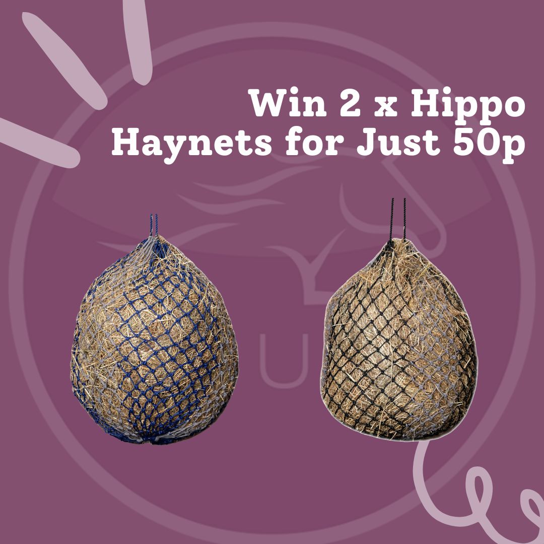 Win 2 x LeMieux Hippo Haynets for Just 50p