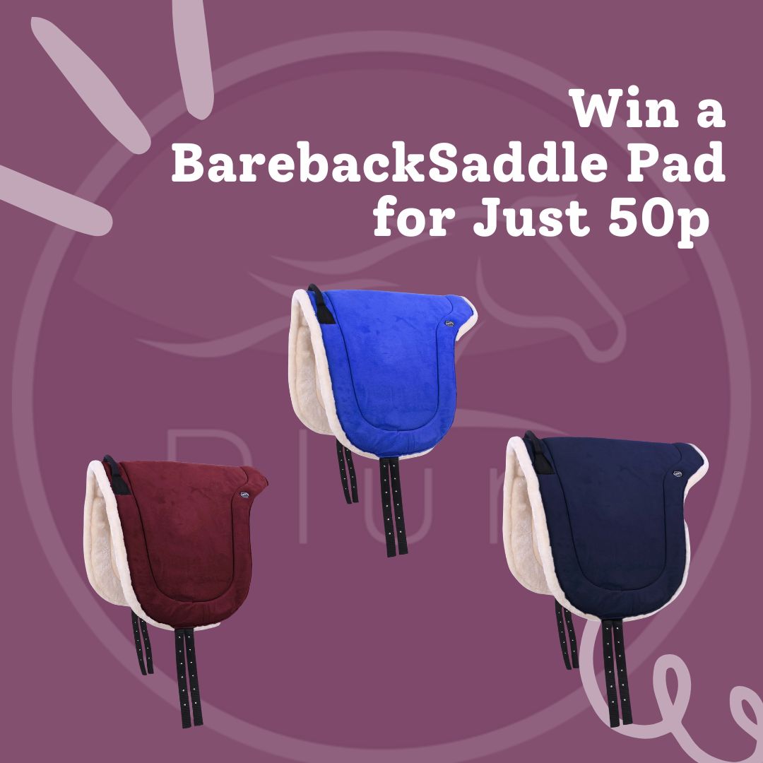 Win a Bareback Saddle Pad for Just 50p