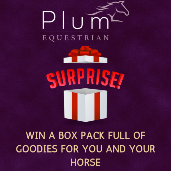 Win a Box of Mystery Goodies – Only 25 Tickets