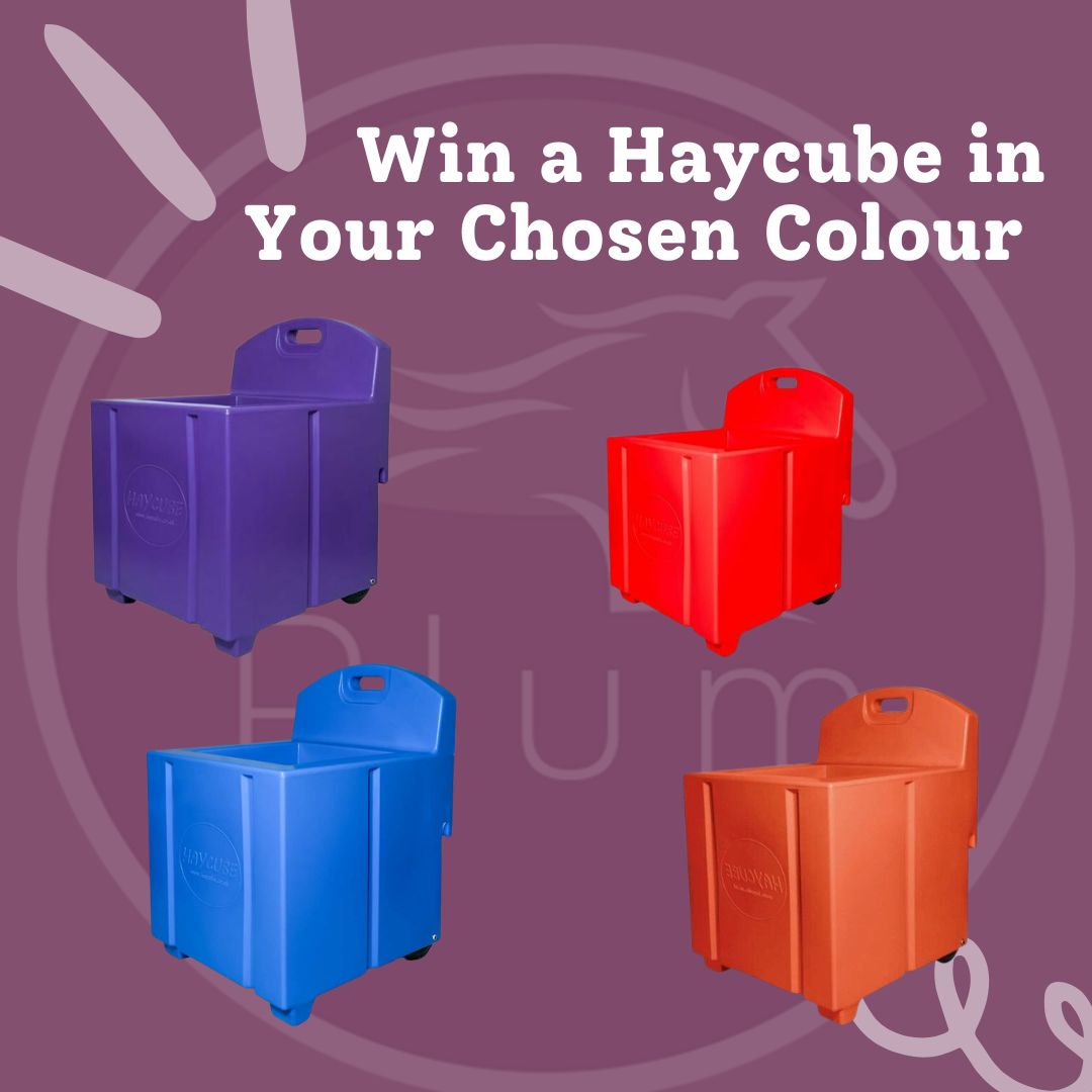 Win a Fabulous Haycube in Your Chosen Colour