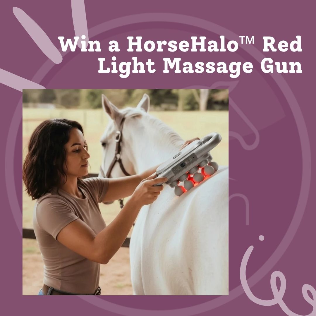 Win a HorseHalo™ Red Light Massage Gun