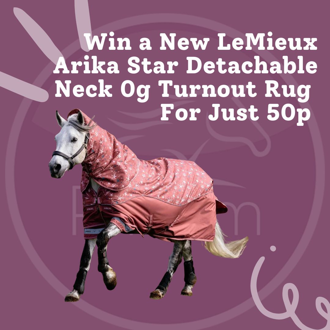 Win a New LeMieux Arika Star Detachable Neck 0g Turnout Rug For Just 50p
