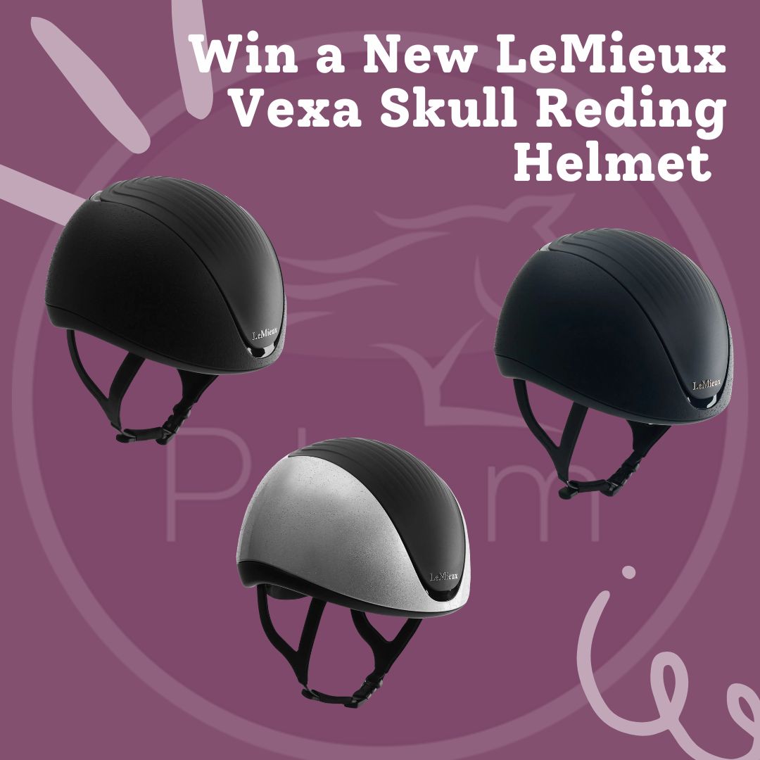 Win a New LeMieux Vexa Skull Reding Helmet
