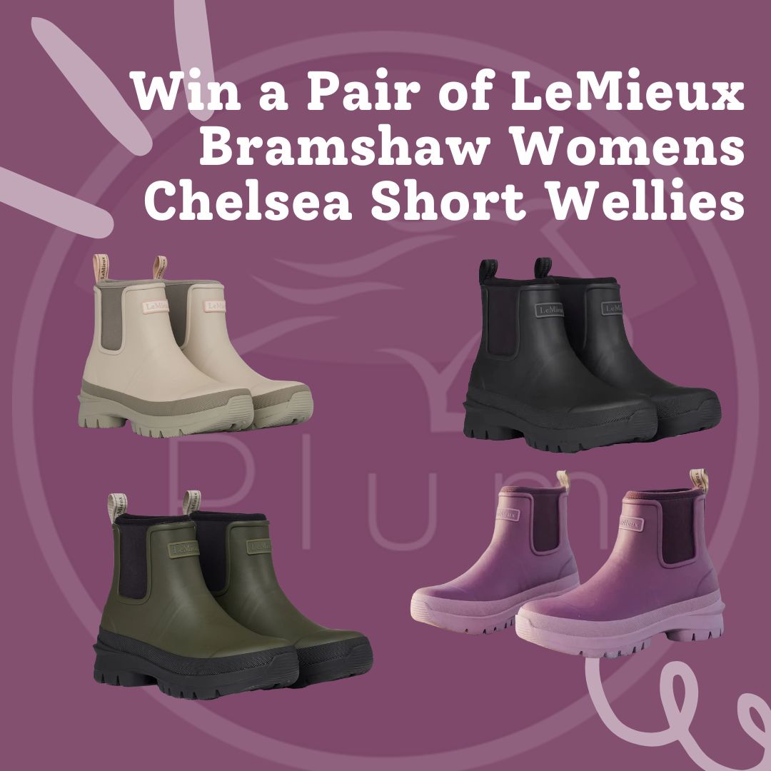 Win a Pair of LeMieux Bramshaw Womens Chelsea Short Wellies