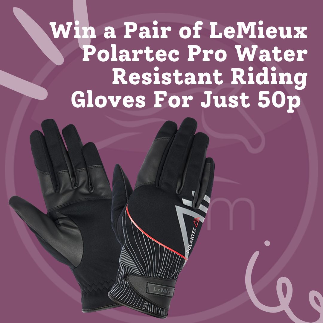 Win a Pair of LeMieux Polartec Pro Water Resistant Riding Gloves For Just 50p
