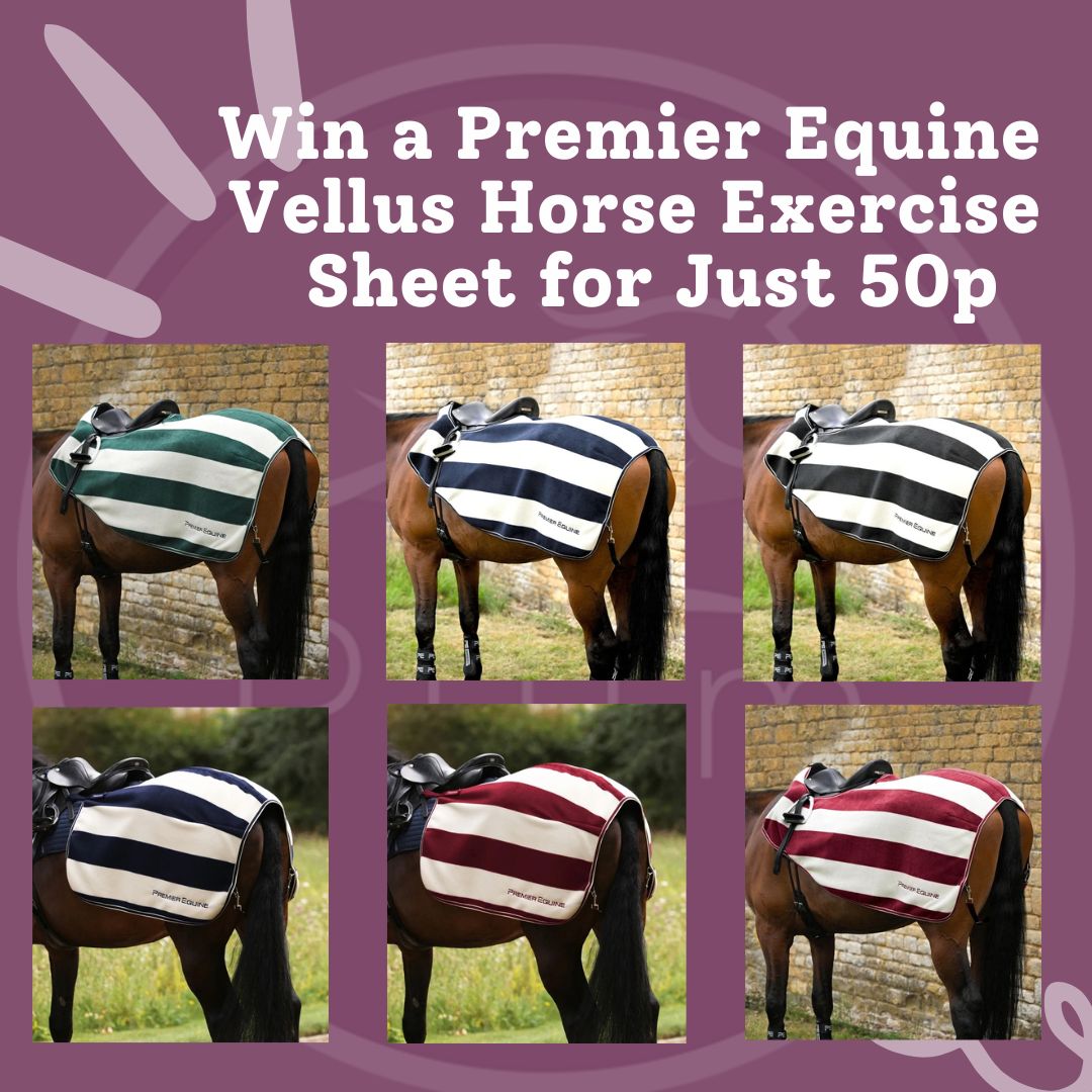 Win a Premier Equine Vellus Horse Quarter Sheet for Just 50p