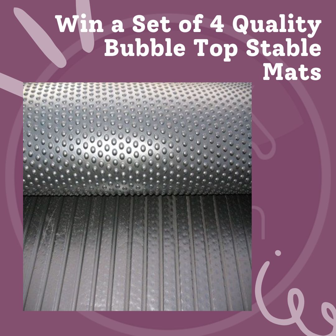 Win a Set of 4 High Quality Ark Rubber Stable Mats