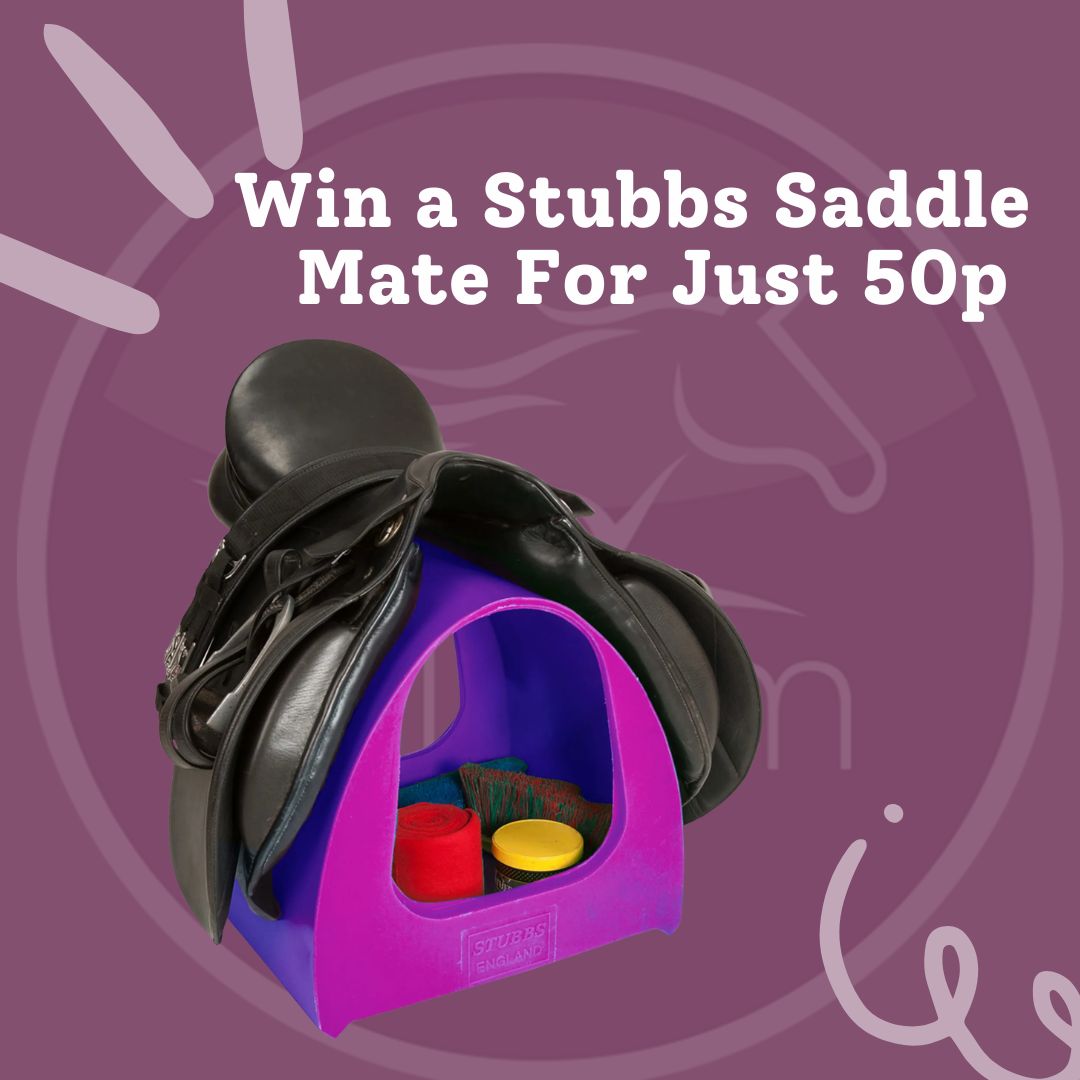 Win a Stubbs Saddle Mate in Your Chosen Colour For Just 50p