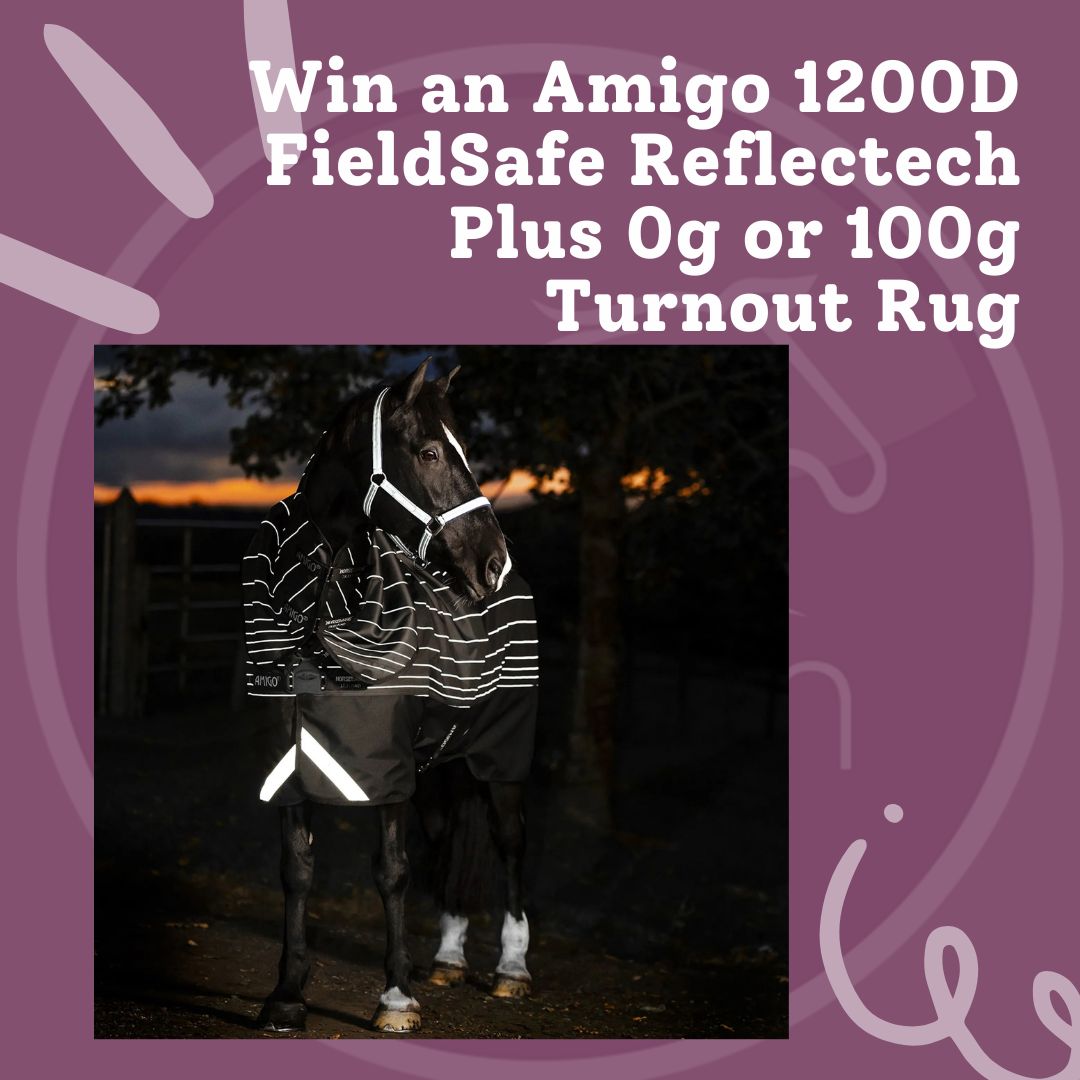 Win an Amigo 1200D FieldSafe Reflectech Plus 0g, 50g or 100g Turnout Rug