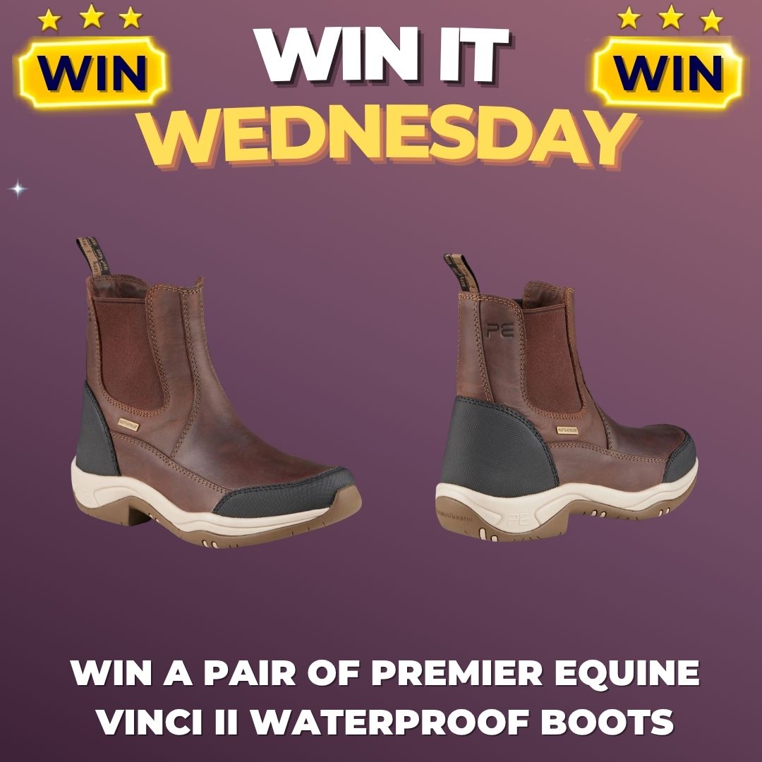 Win it Wednesday 99p Draw to Win a Pair of Premier Equine Vinci II Waterproof Boots