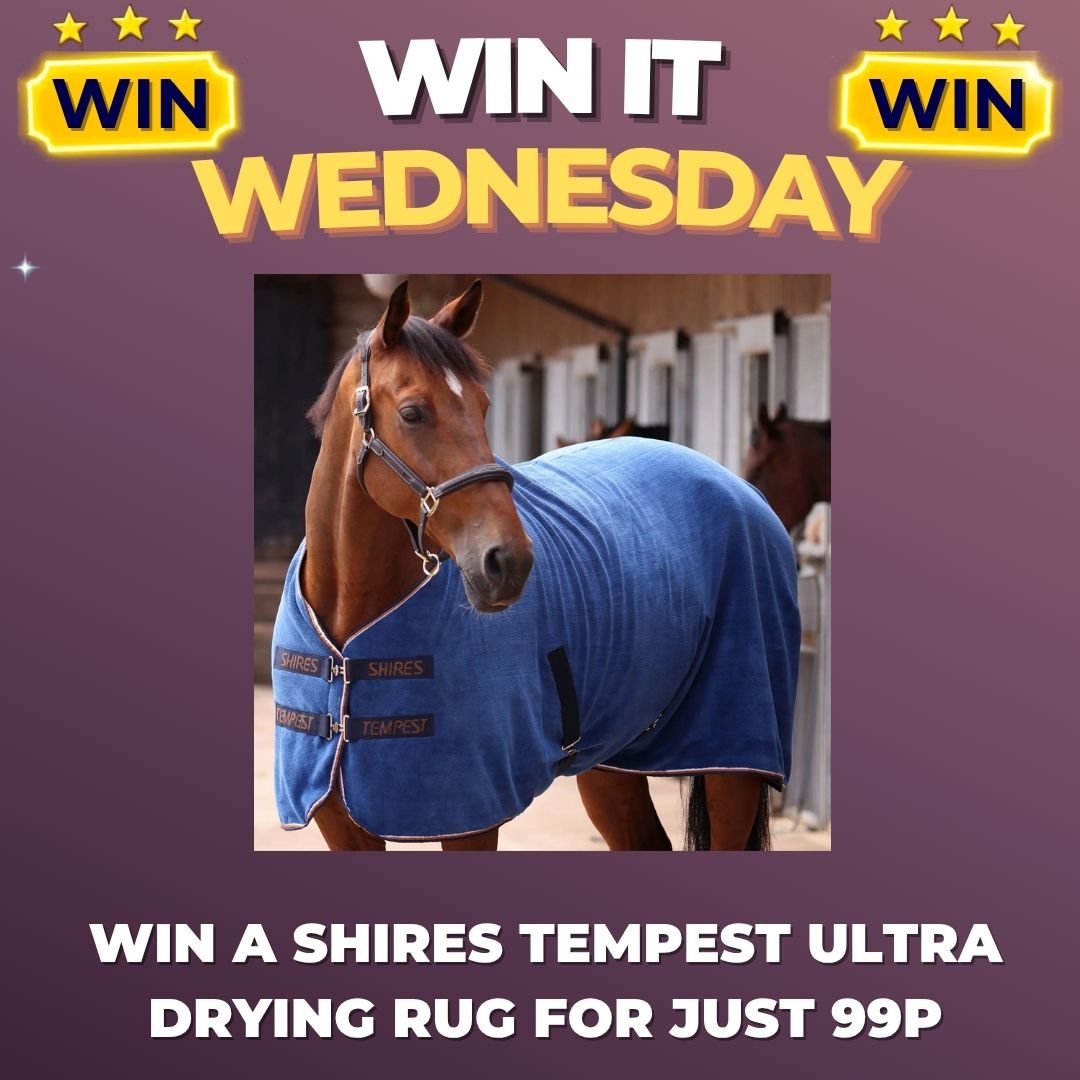 Win it Wednesday Draw to Win a Shires Tempest Ultra Drying Rug