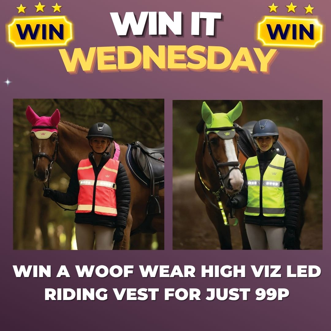 Win it Wednesday Draw to Win A Woof Wear LED High Viz Vest