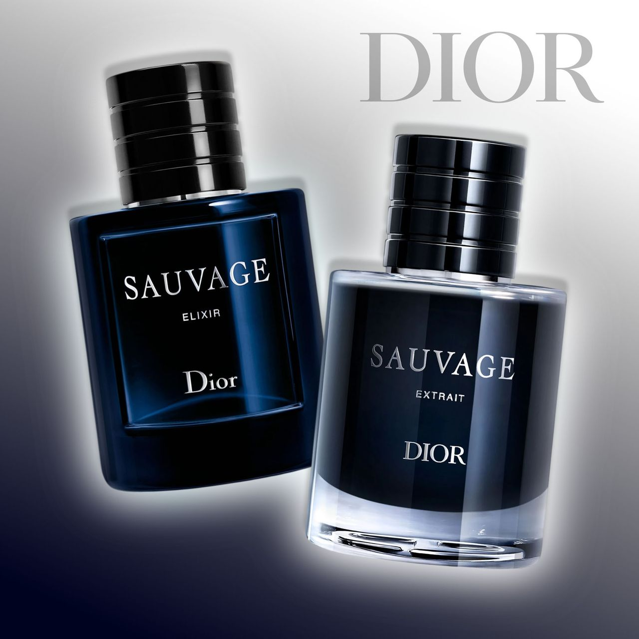 The Dior Bundle