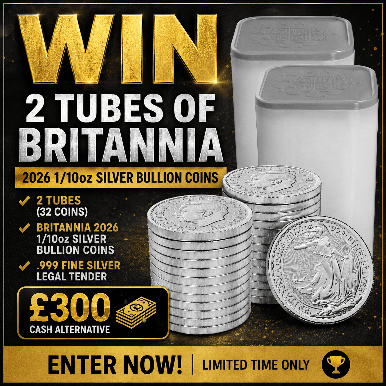 Britannia 2026 1/10 oz Silver Bullion Sixteen Coin Tube | 999 Fine Silver X 2 Tubes #2
