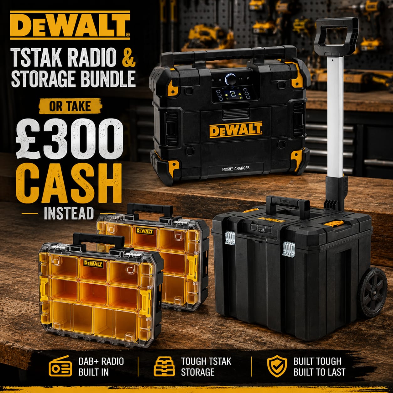 Dewalt TSTAK Radio & Storage Bundle