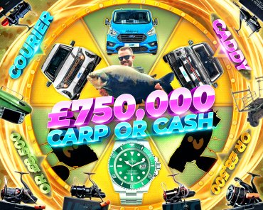 £750,000 CARP OR CASH? #8